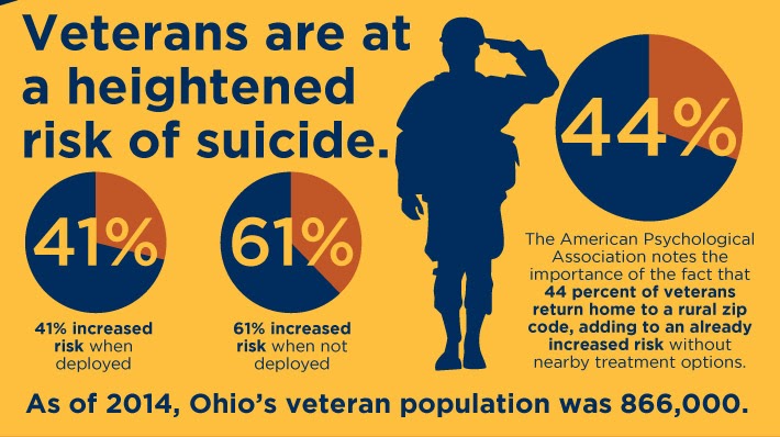 SUN-Veterans high risk for suicide